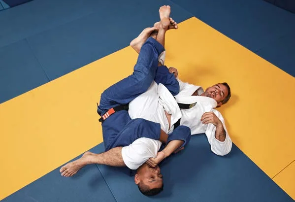 Técnicas de finalización que fuerzan la apertura de la ingle - Manual Technical Fouls & Illegal Moves de la IBJJF