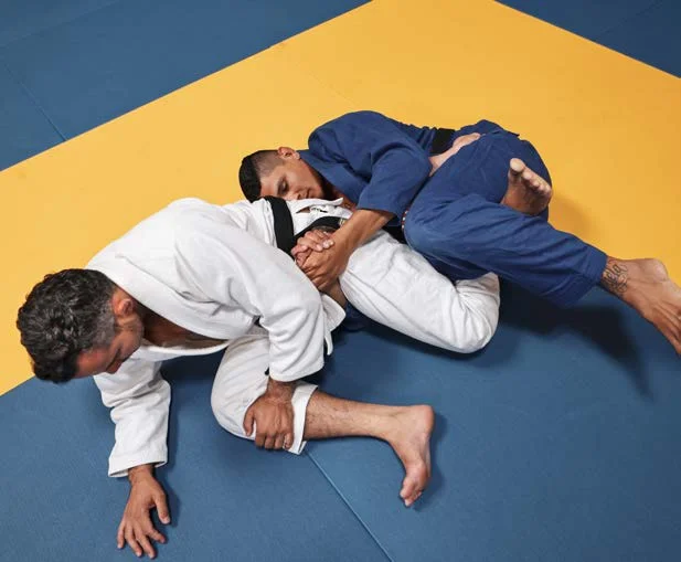Compresión de pantorrilla - Manual Technical Fouls & Illegal Moves de la IBJJF