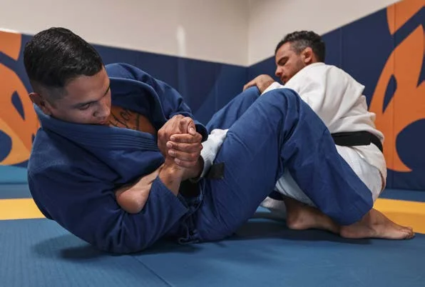 Heel hook (llave de talón) - Manual Technical Fouls & Illegal Moves de la IBJJF