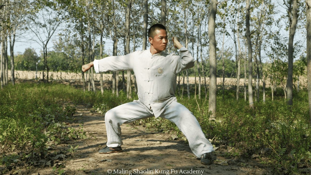 Practicante de artes marciales tradicionales realizando una postura en la naturaleza
