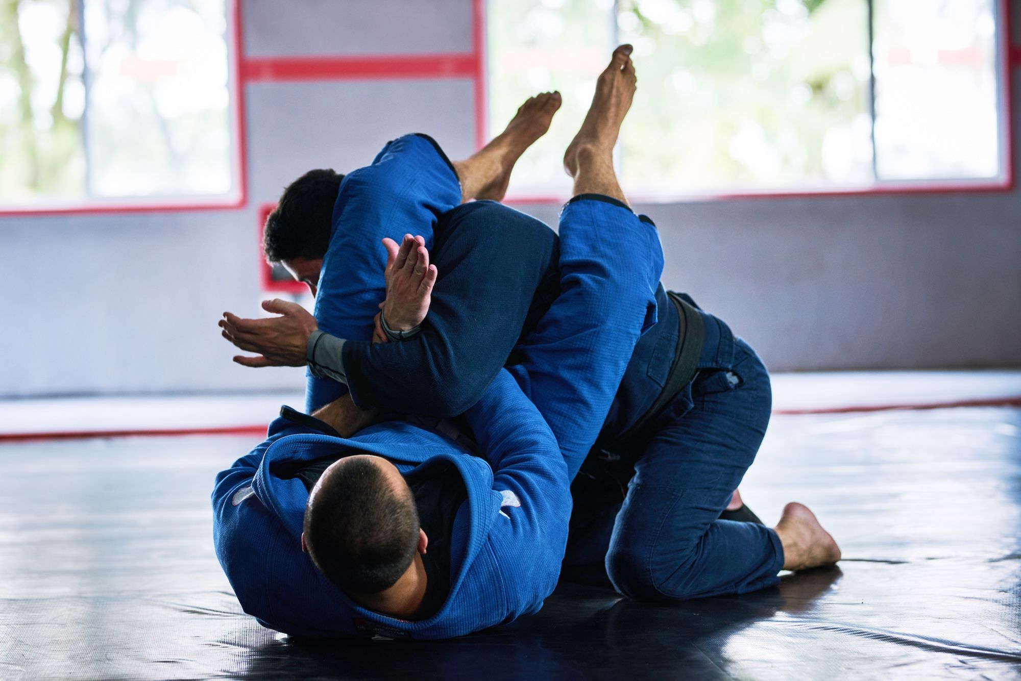 Comparativa de software para academias de BJJ