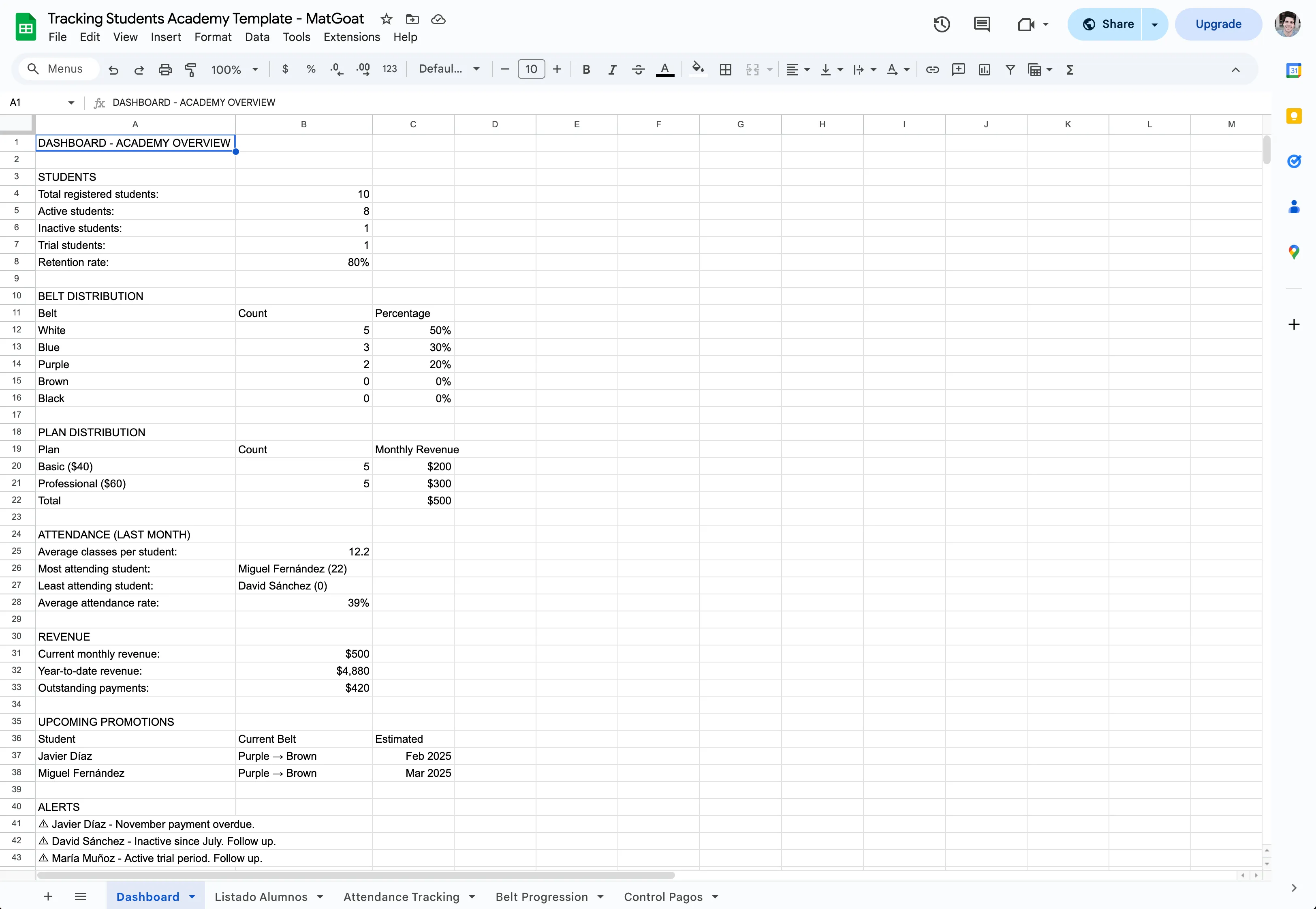 Preview of the student tracking template for Excel
